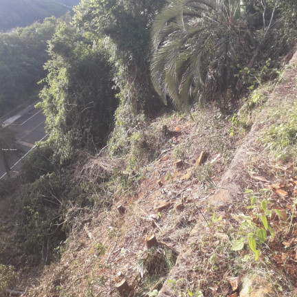 Imagem Terreno à Venda, 365 m² em Centro - Concórdia Imagem Terreno à Venda, 365 m² em Centro - Concórdia