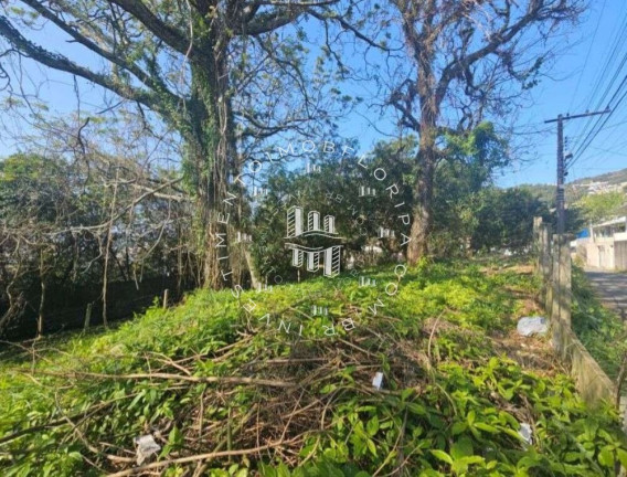 Imagem Terreno à Venda, 1.750 m² em Agronômica - Florianópolis Imagem Terreno à Venda, 1.750 m² em Agronômica - Florianópolis
