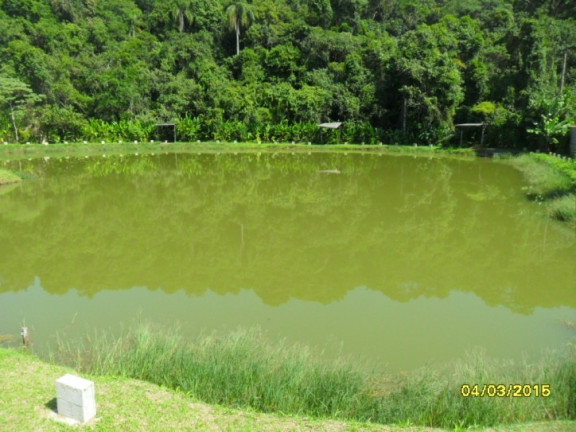 Imagem Imóvel Comercial à Venda, 10 m² em Lagoa - Itapecerica Da Serra Imagem Imóvel Comercial à Venda, 10 m² em Lagoa - Itapecerica Da Serra