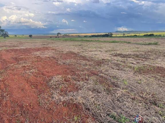 Imagem Imóvel à Venda, 1.255.000 m² em Centro - Campina Verde
