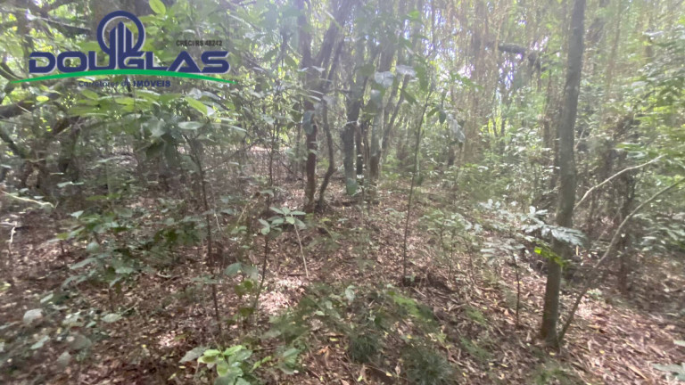 Imagem Terreno à Venda, 5.000 m² em Viamão
