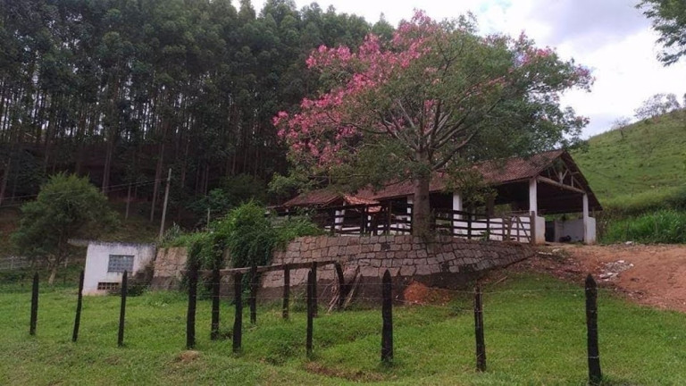 Imagem Fazenda à Venda, 600 m² em Lagoa - Paraibuna