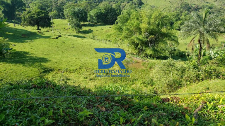 Imagem Imóvel com 5 Quartos à Venda, 124.000 m² em Parque Xerém - Duque De Caxias