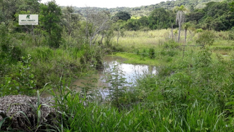 Imagem Chácara com 2 Quartos à Venda, 2.500 m² em Sorocamirim - São Roque Imagem Chácara com 2 Quartos à Venda, 2.500 m² em Sorocamirim - São Roque