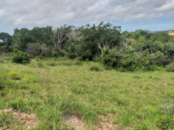 Imagem Terreno à Venda, 18.150 m² em Br 235 Km4 - Nossa Senhora Do Socorro Imagem Terreno à Venda, 18.150 m² em Br 235 Km4 - Nossa Senhora Do Socorro
