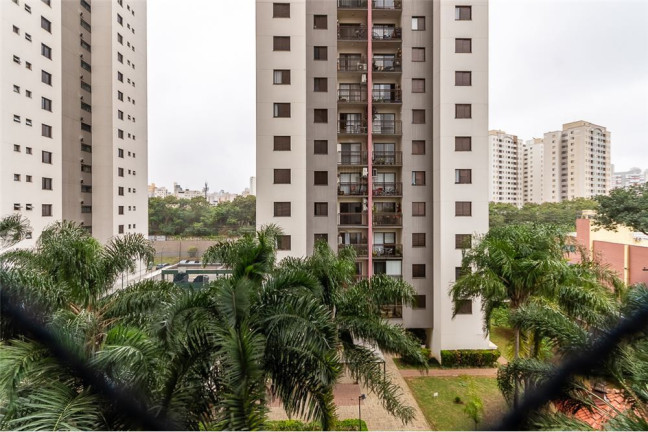 Imagem Imóvel com 3 Quartos à Venda, em Barra Funda - São Paulo Imagem Imóvel com 3 Quartos à Venda, em Barra Funda - São Paulo