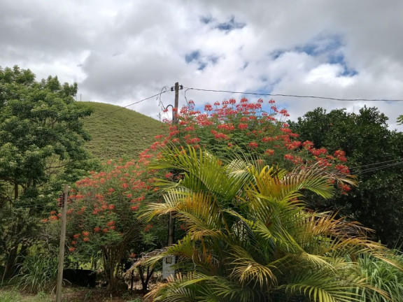 Chácara com 1 Quarto à Venda, 100 m² em Zona Rural - São Luíz Do Paraitinga