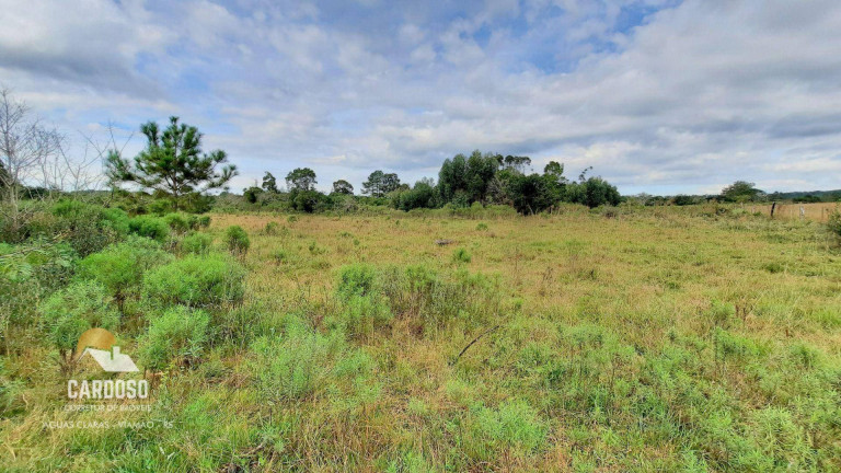 Imagem Fazenda à Venda, 20.000 m² em águas Claras - Viamão Imagem Fazenda à Venda, 20.000 m² em águas Claras - Viamão