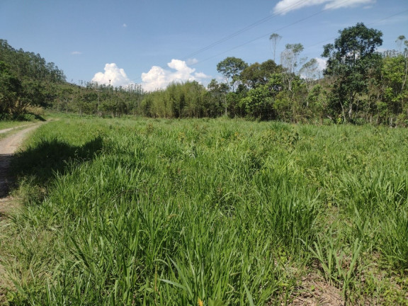 Fazenda à Venda, 100 m² em Centro - Guaratinguetá