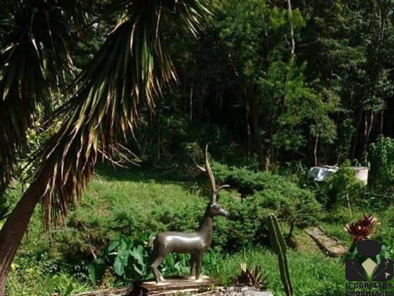 Imagem Imóvel com 4 Quartos à Venda, 11.000 m² em Quintas Da Serra - Caeté Imagem Imóvel com 4 Quartos à Venda, 11.000 m² em Quintas Da Serra - Caeté