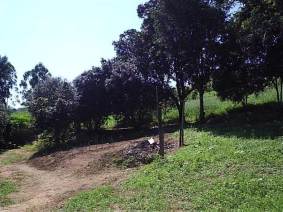 Imagem Imóvel com 3 Quartos à Venda, 37.800 m² em Três Vendas - Campinas Imagem Imóvel com 3 Quartos à Venda, 37.800 m² em Três Vendas - Campinas
