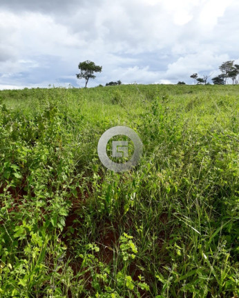 Imagem Imóvel com 5 Quartos à Venda, 100 m² em Nova Esperança - Montes Claros Imagem Imóvel com 5 Quartos à Venda, 100 m² em Nova Esperança - Montes Claros