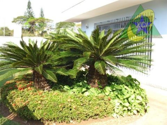 Imagem Casa com 3 Quartos à Venda, 546 m² em Parque Taquaral - Campinas Imagem Casa com 3 Quartos à Venda, 546 m² em Parque Taquaral - Campinas