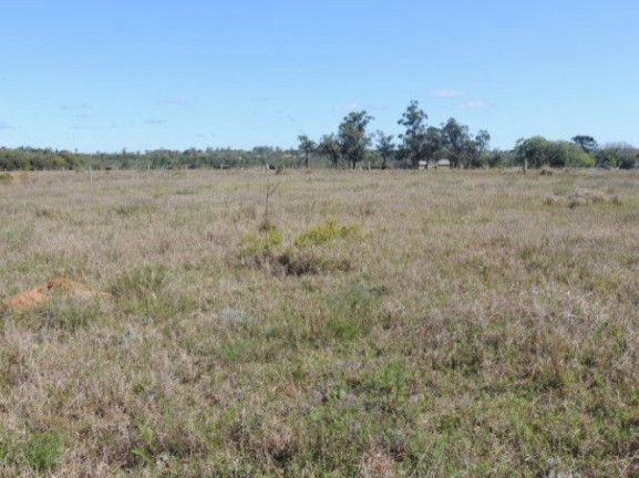 Imagem Terreno à Venda, 1.000 m² em Morro Grande - Viamão Imagem Terreno à Venda, 1.000 m² em Morro Grande - Viamão