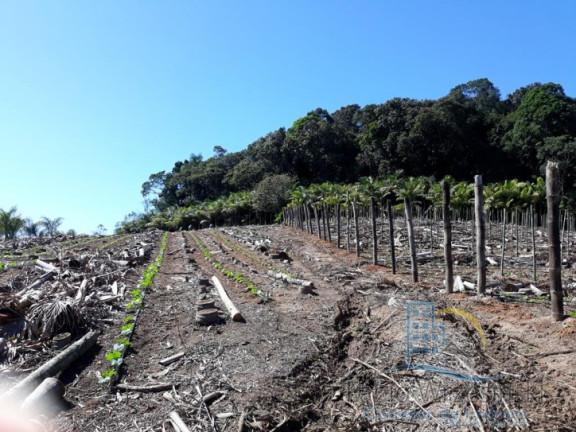 Imagem Terreno à Venda, 232.297 m² em Enseada - São Francisco Do Sul Imagem Terreno à Venda, 232.297 m² em Enseada - São Francisco Do Sul
