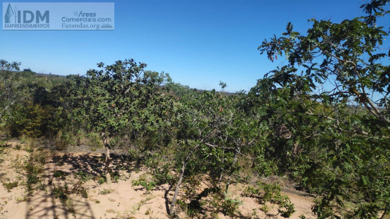 Imagem Chácara à Venda, 49.500.000 m² em Centro - Buritizeiro