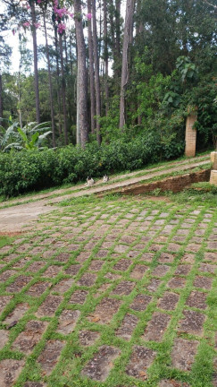 Imagem Chácara com 1 Quarto à Venda, 100 m² em Chácara Fernão Dias - Bragança Paulista Imagem Chácara com 1 Quarto à Venda, 100 m² em Chácara Fernão Dias - Bragança Paulista