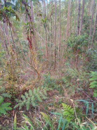 Imagem Terreno à Venda, 1 m² em Parque Santo Antônio - Jacareí Imagem Terreno à Venda, 1 m² em Parque Santo Antônio - Jacareí