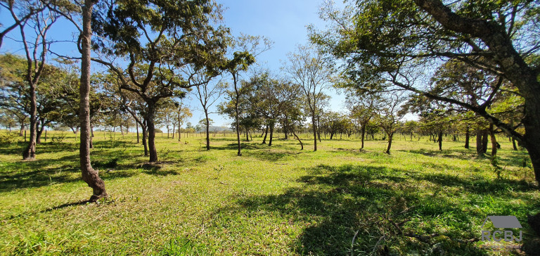 Imagem Terreno à Venda, em Tropeiros - Esmeraldas Imagem Terreno à Venda, em Tropeiros - Esmeraldas