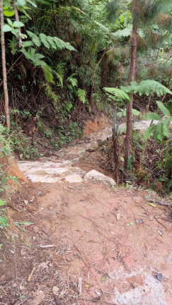 Imagem Terreno à Venda, 31.600 m² em Posse - Teresópolis Imagem Terreno à Venda, 31.600 m² em Posse - Teresópolis