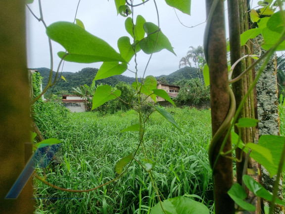 Imagem Terreno à Venda, 450 m² em Ressaca - Ubatuba Imagem Terreno à Venda, 450 m² em Ressaca - Ubatuba