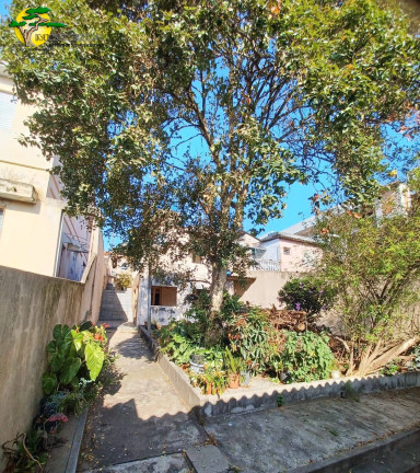 Imagem Casa com 3 Quartos à Venda, 266 m² em Vila Nova Cachoeirinha - São Paulo Imagem Casa com 3 Quartos à Venda, 266 m² em Vila Nova Cachoeirinha - São Paulo