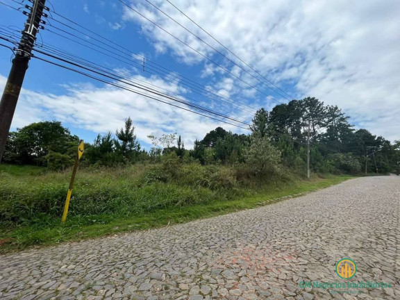 Imagem Terreno à Venda, 4 m² em Paisagem Renoir - Cotia