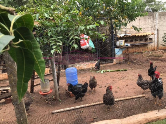 Imagem Chácara com 5 Quartos à Venda, 600 m² em Jardim Flamboyant - Boituva