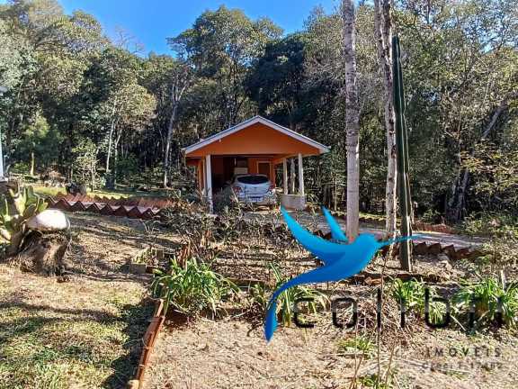 Imagem Chácara com 2 Quartos à Venda, 6.000 m² em Palmital - Agudos Do Sul Imagem Chácara com 2 Quartos à Venda, 6.000 m² em Palmital - Agudos Do Sul