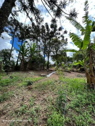 Chácara à Venda,  em São João Novo - São Roque