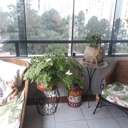 Imagem Imóvel com 3 Quartos à Venda, 130 m² em Vila Andrade - São Paulo Imagem Imóvel com 3 Quartos à Venda, 130 m² em Vila Andrade - São Paulo