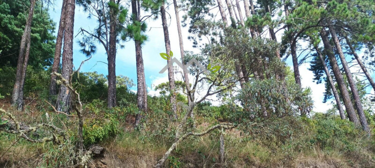 Imagem Terreno à Venda, 5 m² em Cidade Do Sol Ii - Campos Do Jordão Imagem Terreno à Venda, 5 m² em Cidade Do Sol Ii - Campos Do Jordão
