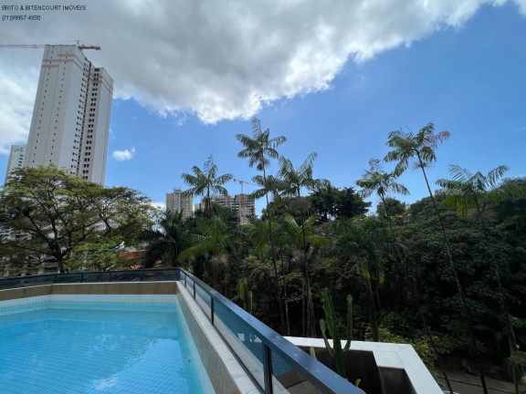 Imagem Imóvel com 4 Quartos à Venda, 336 m² em Horto Florestal - Salvador