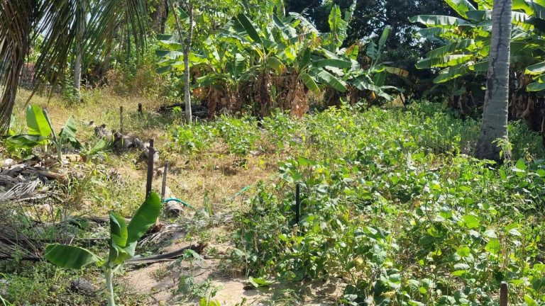 Imagem Terreno à Venda, 12.182 m² em Camará - Aquiraz
