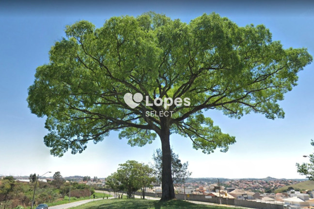 Imagem Imóvel com 3 Quartos à Venda, 229 m² em Condomínio Residencial Portal Do Jequitibá - Valinhos