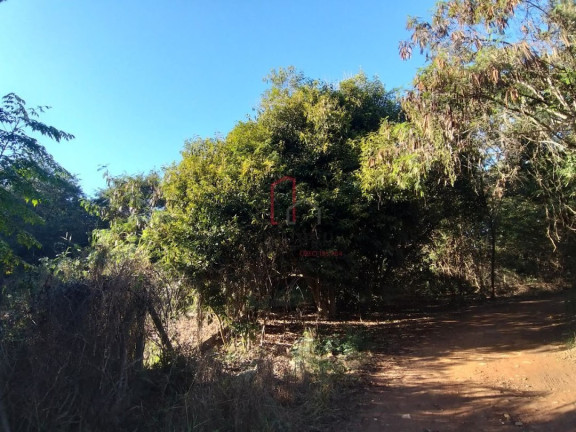 Imagem Imóvel à Venda, 5.000 m² em João Aranha - Paulínia
