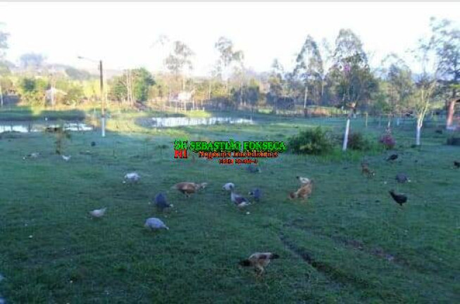 Imagem Chácara à Venda, 13.000 m² em Centro - Caçapava Imagem Chácara à Venda, 13.000 m² em Centro - Caçapava