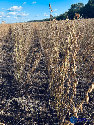 Imagem Fazenda à Venda, 822 m² em Zona Rural - Araguaína Imagem Fazenda à Venda, 822 m² em Zona Rural - Araguaína