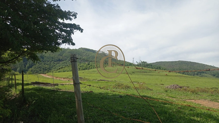 Imagem Fazenda para Alugar, 100 m² em Serrote - Santa Branca Imagem Fazenda para Alugar, 100 m² em Serrote - Santa Branca