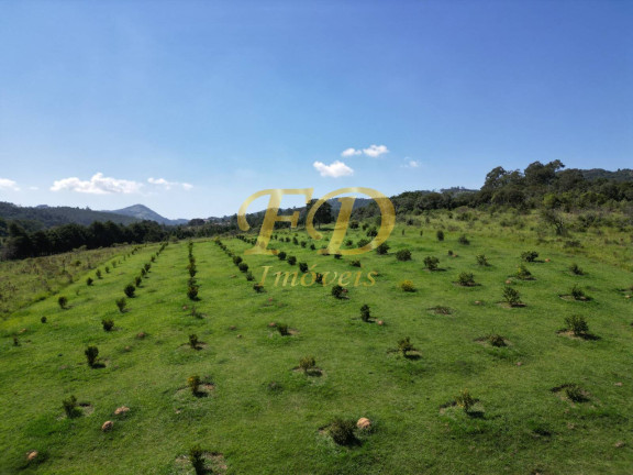 Imagem Imóvel Comercial à Venda, 220 m² em Mato Dentro - Mairiporã
