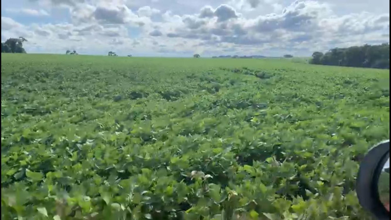 Imagem Chácara à Venda, 38 m² em Rural - Coronel Macedo Imagem Chácara à Venda, 38 m² em Rural - Coronel Macedo