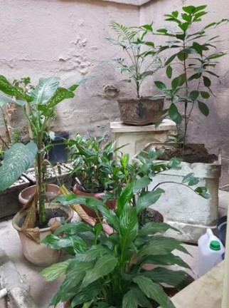 Imagem Imóvel Comercial à Venda, 23 m² em Catete - Rio De Janeiro
