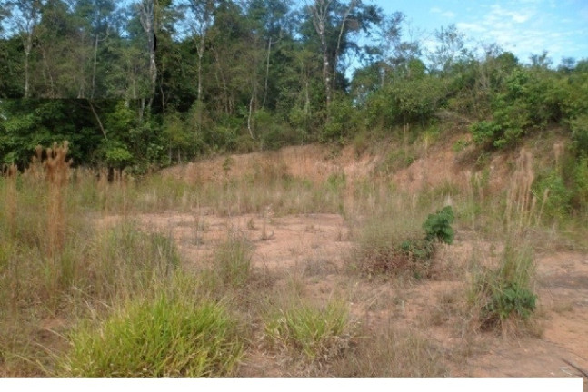 Imagem Terreno à Venda, 10.400 m² em Acesso Para Carretas - Mairiporã Imagem Terreno à Venda, 10.400 m² em Acesso Para Carretas - Mairiporã