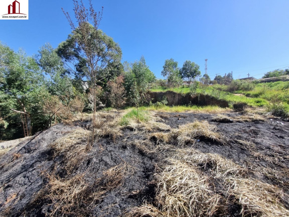 Imagem Terreno à Venda, 601 m² em Jardim Alegria - Francisco Morato Imagem Terreno à Venda, 601 m² em Jardim Alegria - Francisco Morato