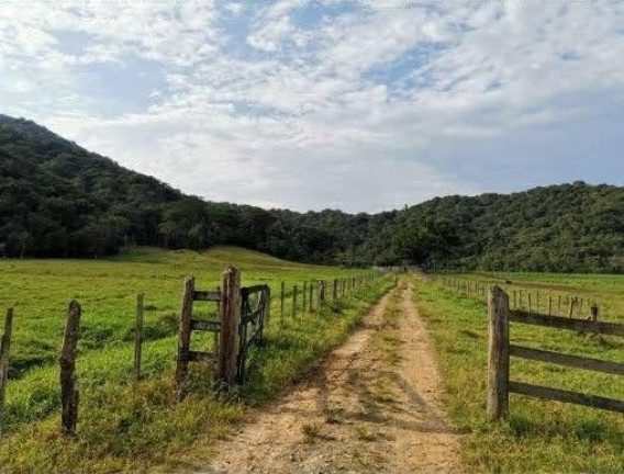 Imagem Fazenda à Venda, 90 m² em Braço Grande - Miracatu Imagem Fazenda à Venda, 90 m² em Braço Grande - Miracatu