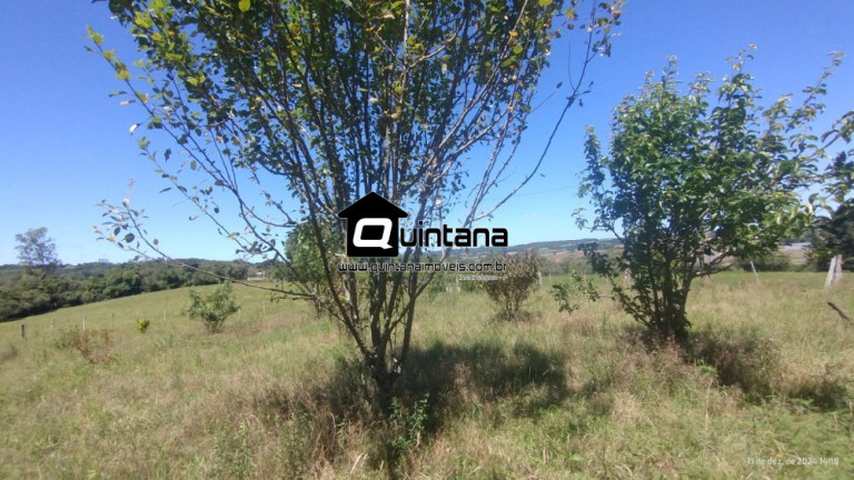 Imagem Imóvel com 2 Quartos à Venda, 50.000 m² em Capela Da Buena - Morro Redondo Imagem Imóvel com 2 Quartos à Venda, 50.000 m² em Capela Da Buena - Morro Redondo