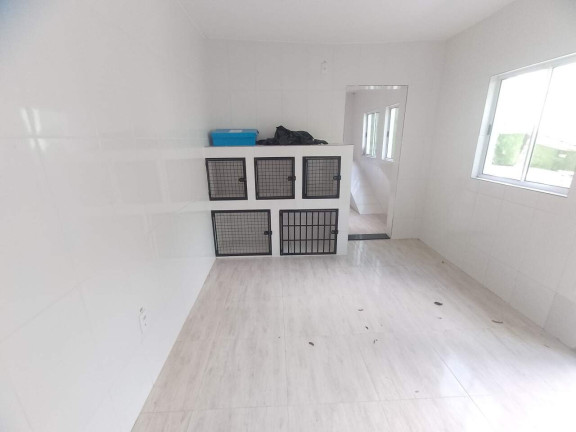 Imagem Casa com 5 Quartos para Alugar, 425 m² em Jaqueline - Belo Horizonte Imagem Casa com 5 Quartos para Alugar, 425 m² em Jaqueline - Belo Horizonte