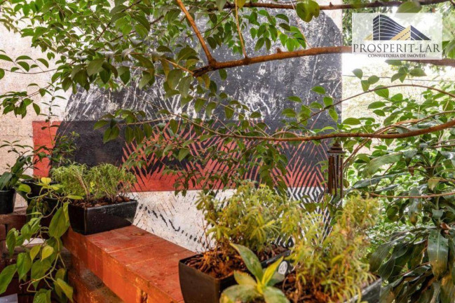 Imagem Casa com 3 Quartos à Venda, 128 m² em Vila Mariana - São Paulo Imagem Casa com 3 Quartos à Venda, 128 m² em Vila Mariana - São Paulo