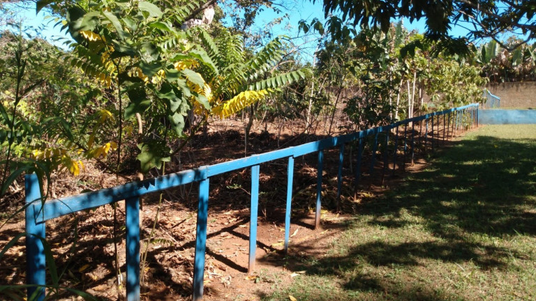 Imagem Imóvel com 3 Quartos à Venda, 2.900 m² em Centro - Franca Imagem Imóvel com 3 Quartos à Venda, 2.900 m² em Centro - Franca