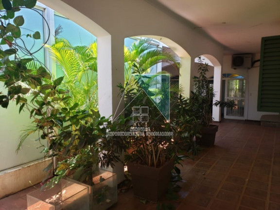 Imagem Imóvel à Venda, 539 m² em Jardim Califórnia - Ribeirão Preto Imagem Imóvel à Venda, 539 m² em Jardim Califórnia - Ribeirão Preto